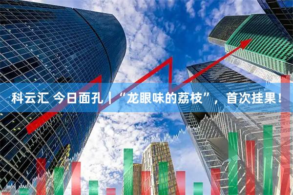 科云汇 今日面孔｜“龙眼味的荔枝”，首次挂果！